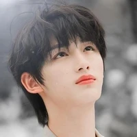 Đinh trình hâm (y)