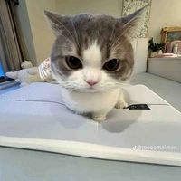 Tác giả heo lì 