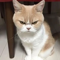 Người hùng mang danh kẻ xấu =)
