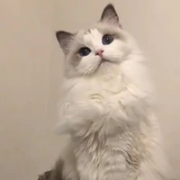 Hệ thống _ Pie