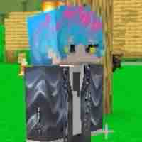Hiha Des