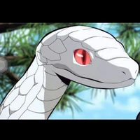 kaburamaru