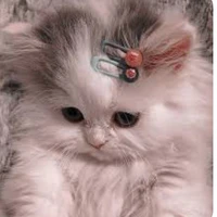 Chuchu / tác giả
