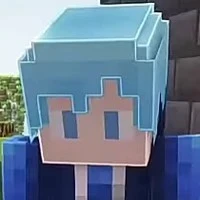 TinNTMC