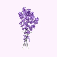 Người bí ẩn - Tổng hợp - Nam 