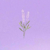 Người bí ẩn - Tổng hợp - Nữ