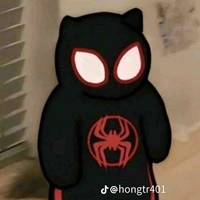 Spider cat