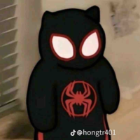 Spider cat