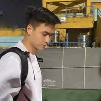 Việt Anh(Zịt)