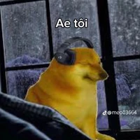 y|n