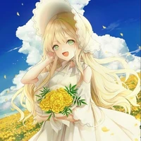 hikari