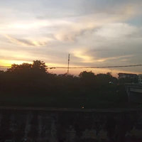 NVP