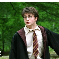 Harry Potter⚡️