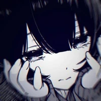 Y/N