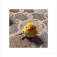 ông zị thần khỉ đít đỏ