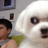 T/g cư tề