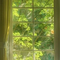nhân vật phụ tuyến