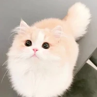 hệ thống 002/mnhu