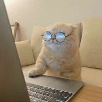 Chăm chỉ lên nào