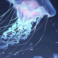 Jellyfish-san