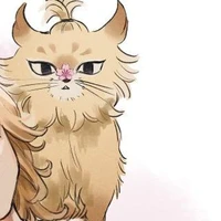 Mèo Mikay