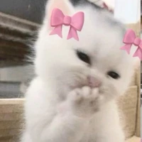 Tác giả