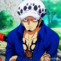 Law