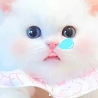 hệ thống của lù(t/g)