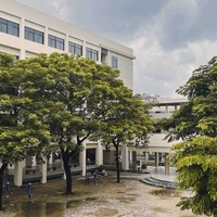 Tác giả