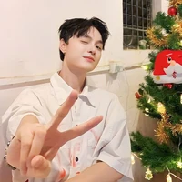 Nguyễn Nhật Phát/Diêu Bông