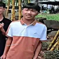 Phạm Đình Hoà