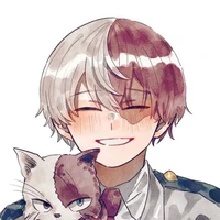 todoroki shouto