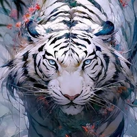 Snow (bạch hổ của n9) 