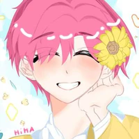 ST_Hiha