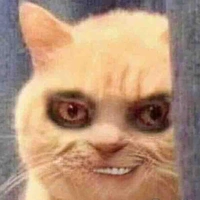 Cân mọi đất diễn