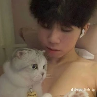 Nguyễn Hữu Đạt/phoenix