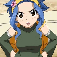 Levy Mcgarden