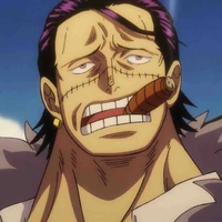 Crocodile 