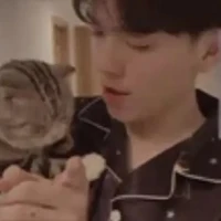 Thanh Lâm_Zeref_Dép