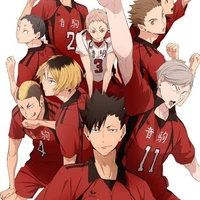 All team Nekoma