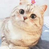 hệ thống