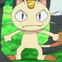 Nyasu