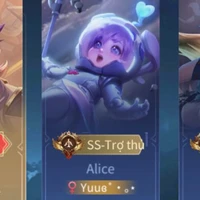"Top 1" Alicu