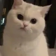 nhạc dạo fairy tail