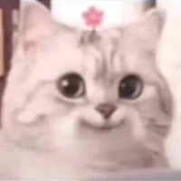 Con tác giả ngáo ngơ=))
