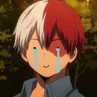 Shoto Todoroki