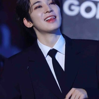 Wonwoo (Alpha)