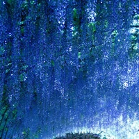 Mn xung quanh (-những người cần -)