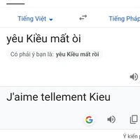 Xa Xa của Pháp Kiều (T/G)