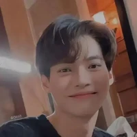 Win MetaWin